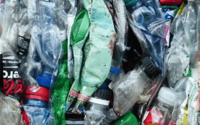 Imballaggi in plastica e importanza del loro riciclo