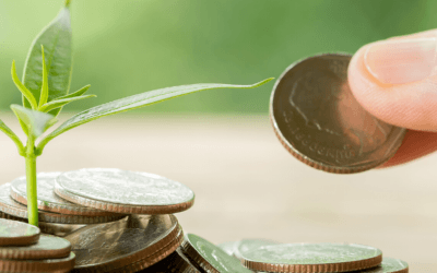Agevolazioni fiscali per chi investe in Start up e Pmi innovative…anche nel green!
