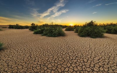 Allarme risorse idriche: in Italia sempre meno acqua disponibile!