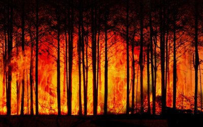 Se una lunga ondata di caldo a 50C° colpisse l’Italia? Onu lancia l’allarme.