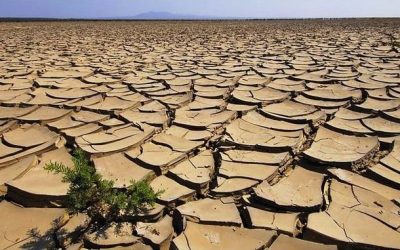 Un bilancio del 2021: diamo i numeri.